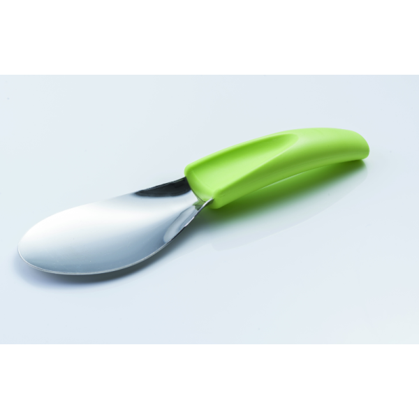 Spatule avec manche ergonomique en plastique pour carapace, verte