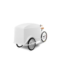 Triporteur à glace - avec 8 à 10 heures d’autonomie avec 6+6 Carapine - Prix à partir de 21.056,00€* (voir conditions) 